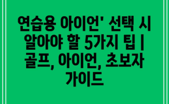 연습용 아이언’ 선택 시 알아야 할 5가지 팁 | 골프, 아이언, 초보자 가이드