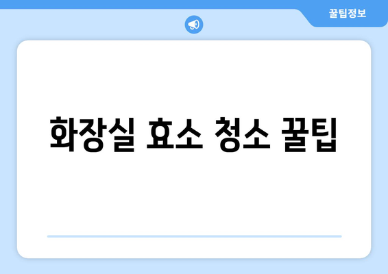 생활용품 효소 활용 방법과 사례 | 효소 청소, 친환경 세탁, 효소 활용 꿀팁