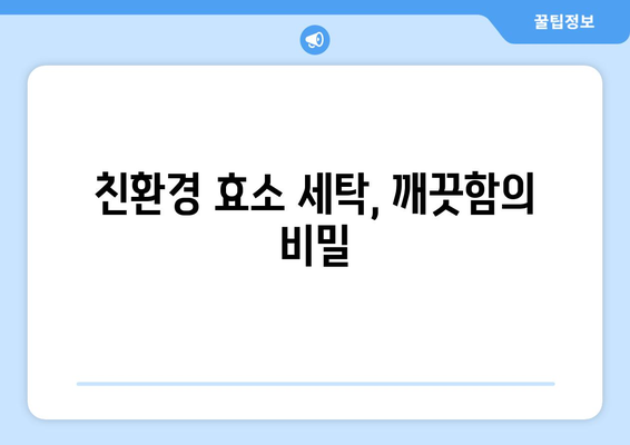 생활용품 효소 활용 방법과 사례 | 효소 청소, 친환경 세탁, 효소 활용 꿀팁